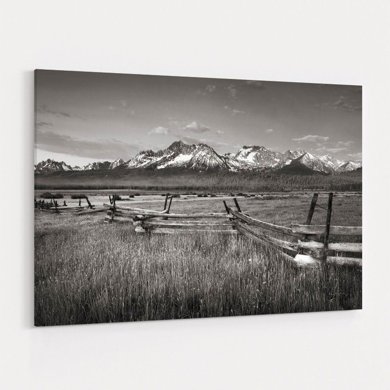 Stanley Basin Fence by Alan Majchrowicz wall art