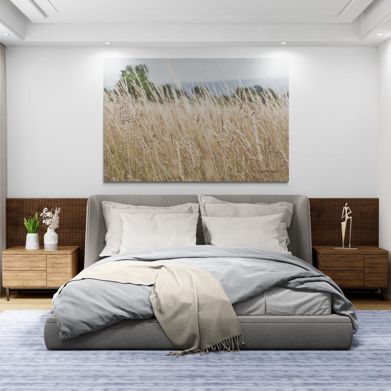 Summer Field I by Elizabeth Urquhart wall art from Glam Wall Art