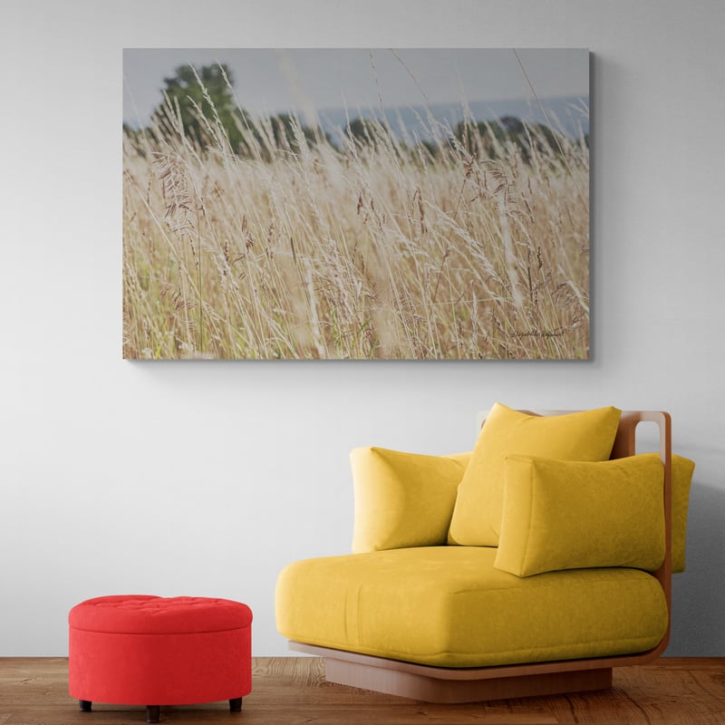 Summer Field I by Elizabeth Urquhart wall art in a living room