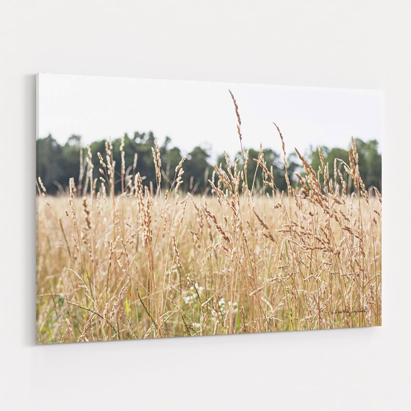 Summer Field II by Elizabeth Urquhart wall art