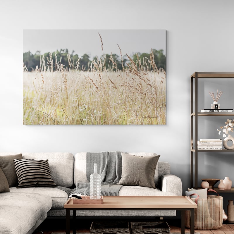 Summer Field II by Elizabeth Urquhart wall art in a living room