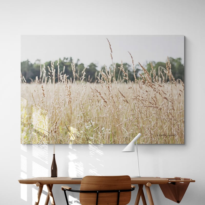 Summer Field II by Elizabeth Urquhart wall art from Glam Wall Art