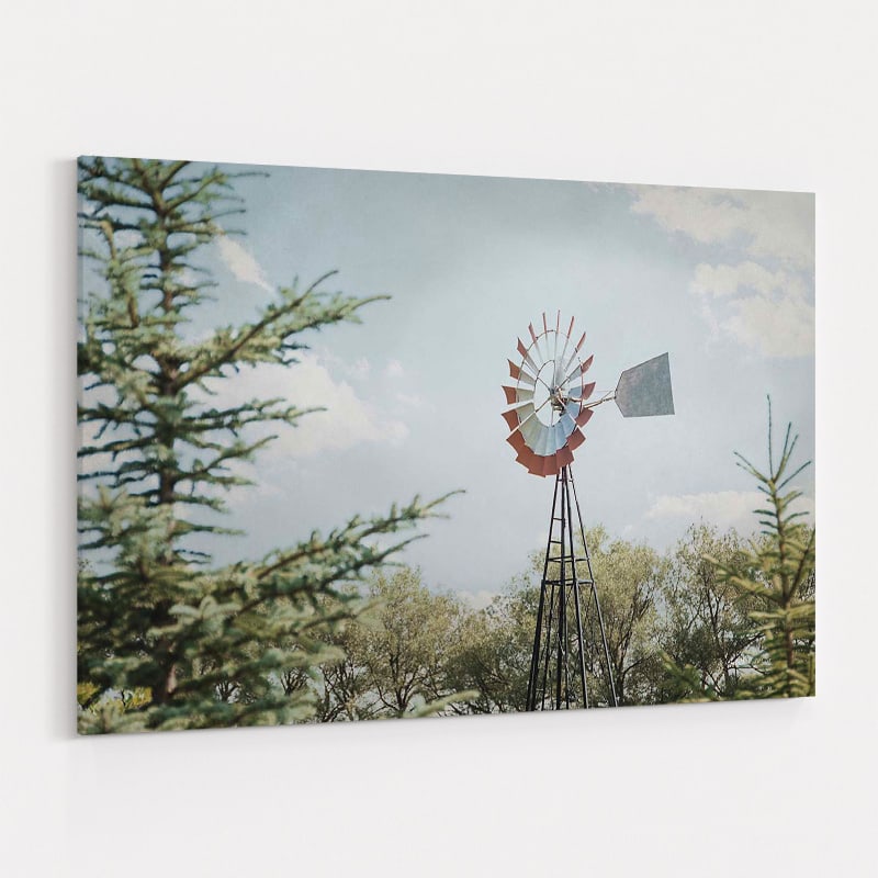 Sun Drenched I by Elizabeth Urquhart wall art