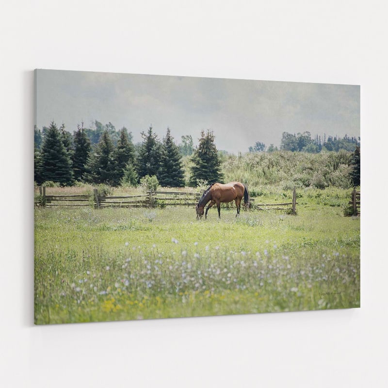 Sun Drenched II by Elizabeth Urquhart wall art