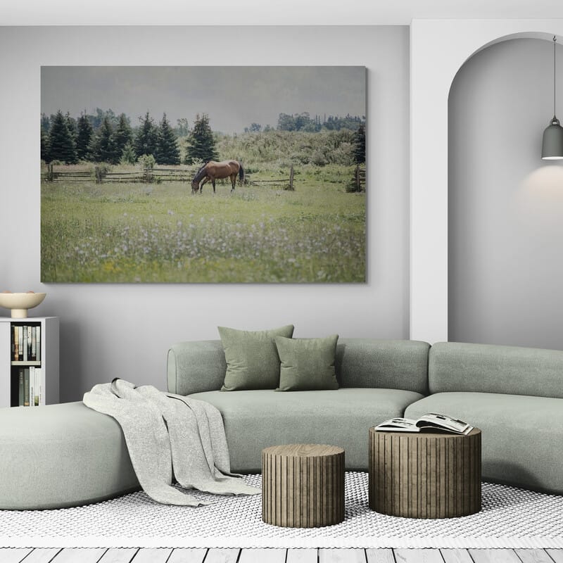Sun Drenched II by Elizabeth Urquhart wall art in a living room