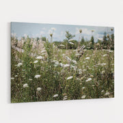 Sun Drenched III by Elizabeth Urquhart wall art
