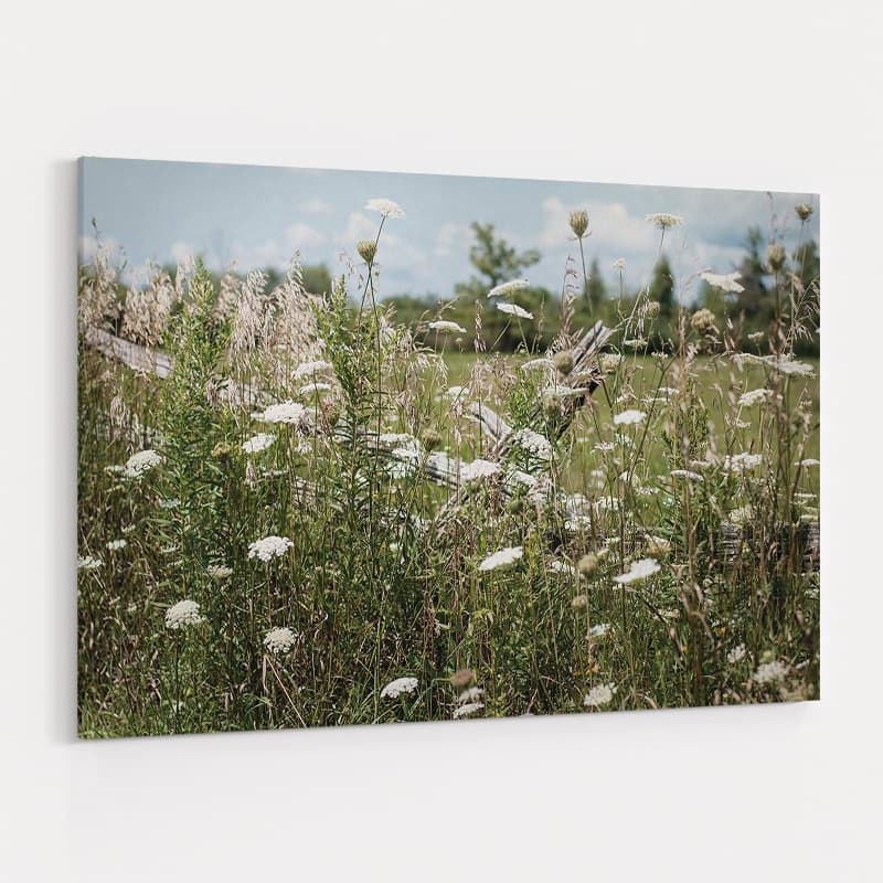 Sun Drenched III by Elizabeth Urquhart wall art