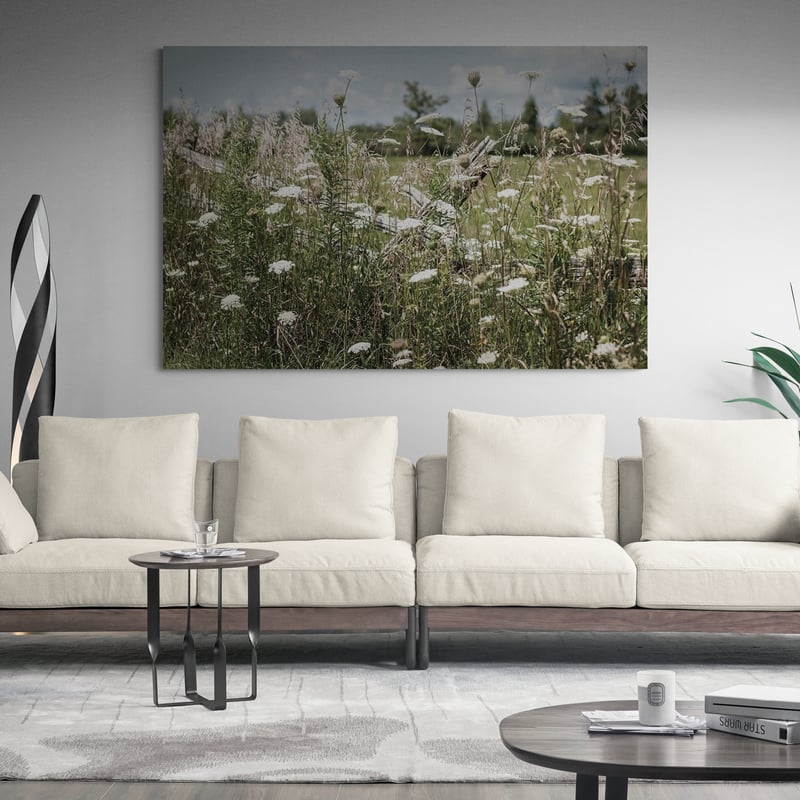 Sun Drenched III by Elizabeth Urquhart wall art in a living room
