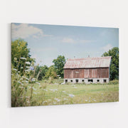 Sun Drenched IV by Elizabeth Urquhart wall art