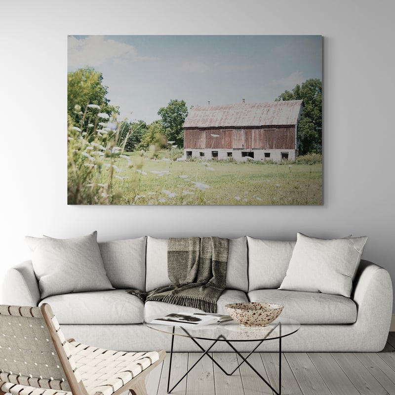 Sun Drenched IV by Elizabeth Urquhart wall art in a living room