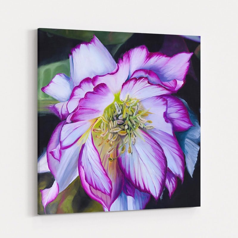 The Hellebore I by Marina Strijakova wall art