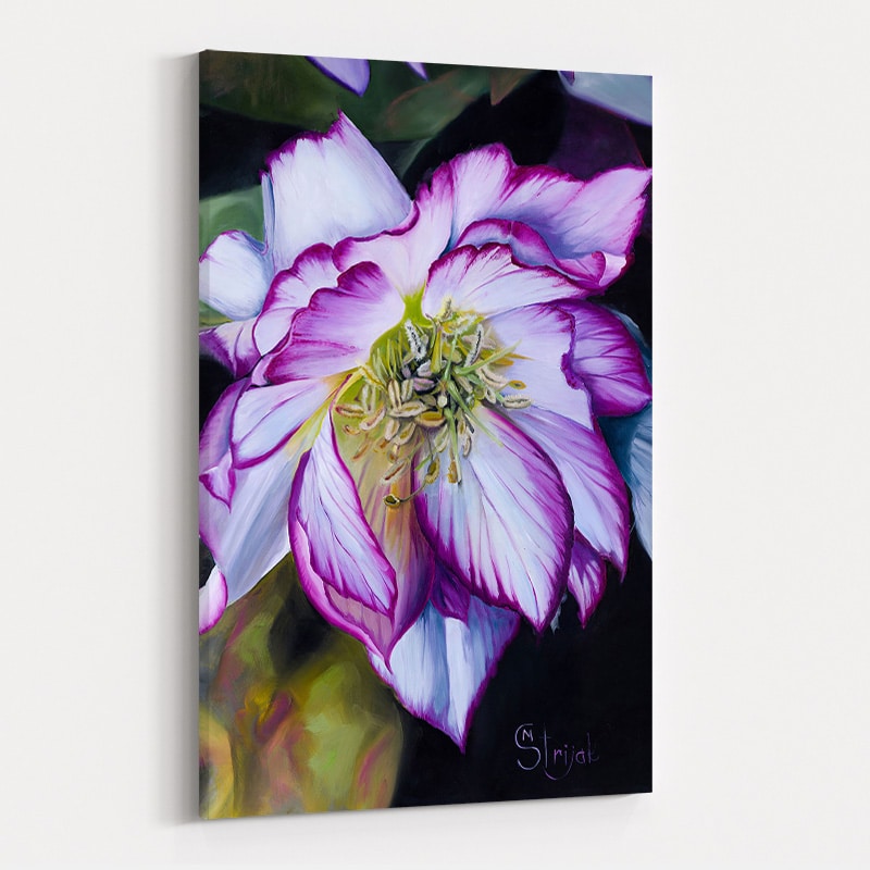 The Hellebore by Marina Strijakova wall art