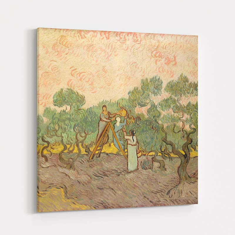 The Olive Orchard 1889 II by Vincent Van Gogh wall art