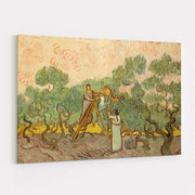 The Olive Orchard 1889 by Vincent Van Gogh wall art