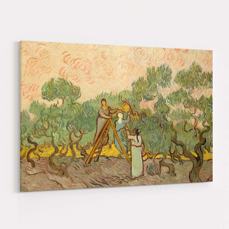 The Olive Orchard 1889 by Vincent Van Gogh wall art