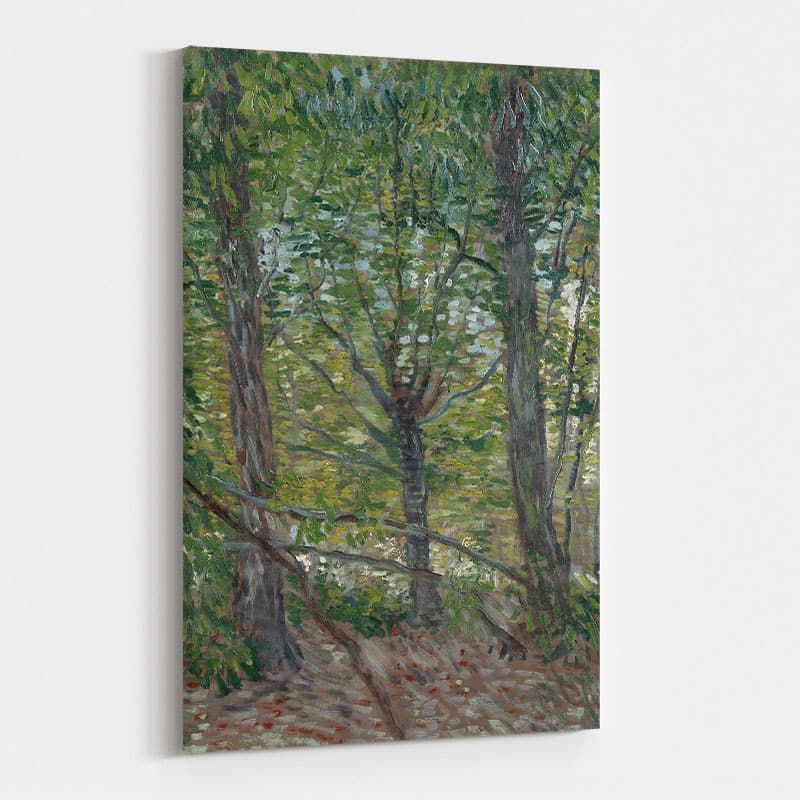 Trees and Undergrowth 1887 II by Vincent Van Gogh wall art
