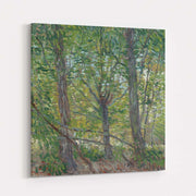 Trees and Undergrowth 1887 by Vincent Van Gogh wall art