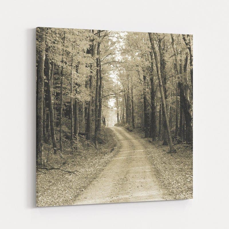 Vermont Country Road Sepia Crop by Alan Majchrowicz wall art