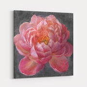 Vivid Floral I by Danhui Nai wall art