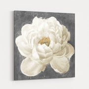 Vivid Floral I White Flower by Danhui Nai wall art