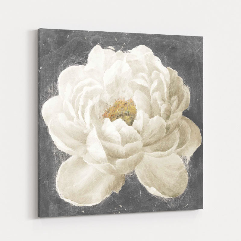 Vivid Floral I White Flower by Danhui Nai wall art