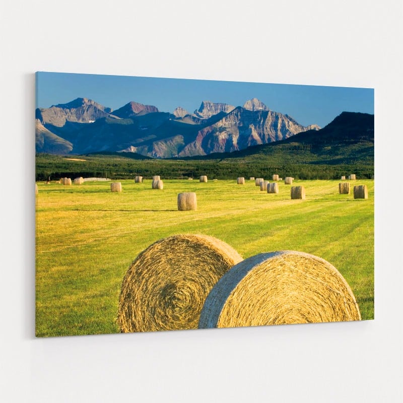 Waterton Hay Bales by Alan Majchrowicz wall art