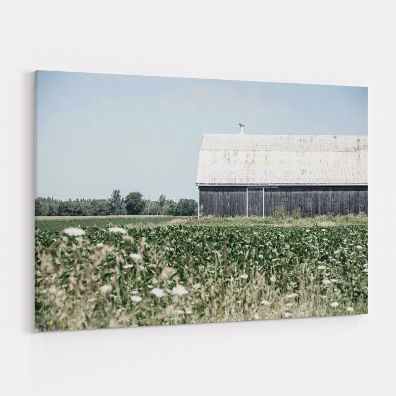 Weathered I by Elizabeth Urquhart wall art
