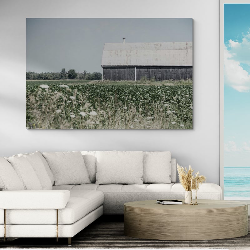 Weathered I by Elizabeth Urquhart wall art in a living room