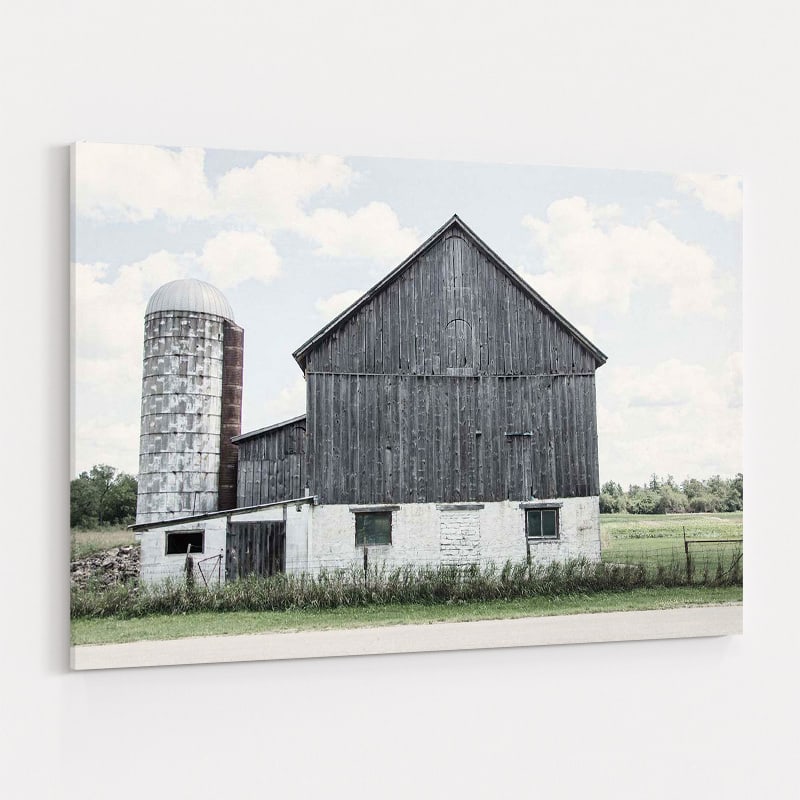 Weathered III by Elizabeth Urquhart wall art