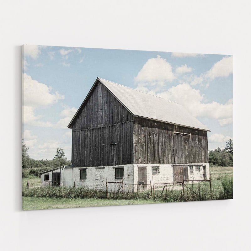 Weathered IV by Elizabeth Urquhart wall art