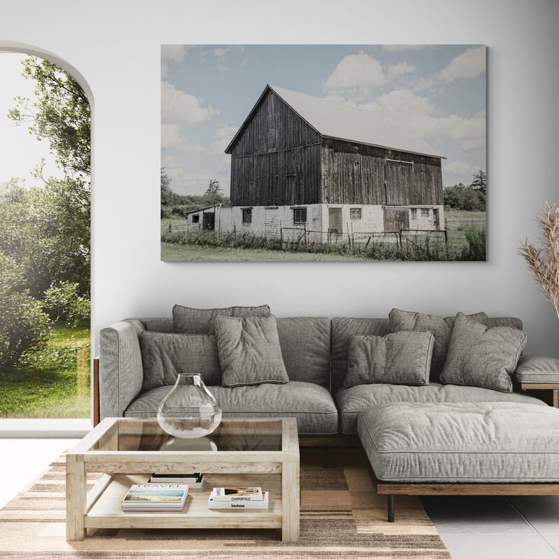 Weathered IV by Elizabeth Urquhart wall art in a living room