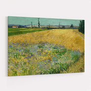 Wheatfield 1888 by Vincent Van Gogh wall art