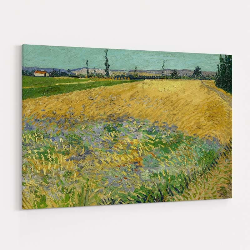 Wheatfield 1888 by Vincent Van Gogh wall art