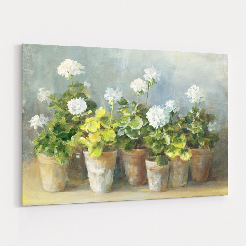 White Geraniums by Danhui Nai wall art