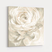 White Rose Gray by Danhui Nai wall art