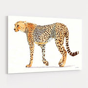Wild And Free VII Bold by James Wiens wall art