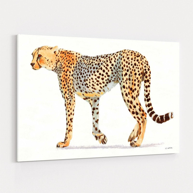 Wild And Free VII Bold by James Wiens wall art