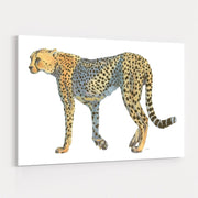 Wild And Free VII by James Wiens wall art