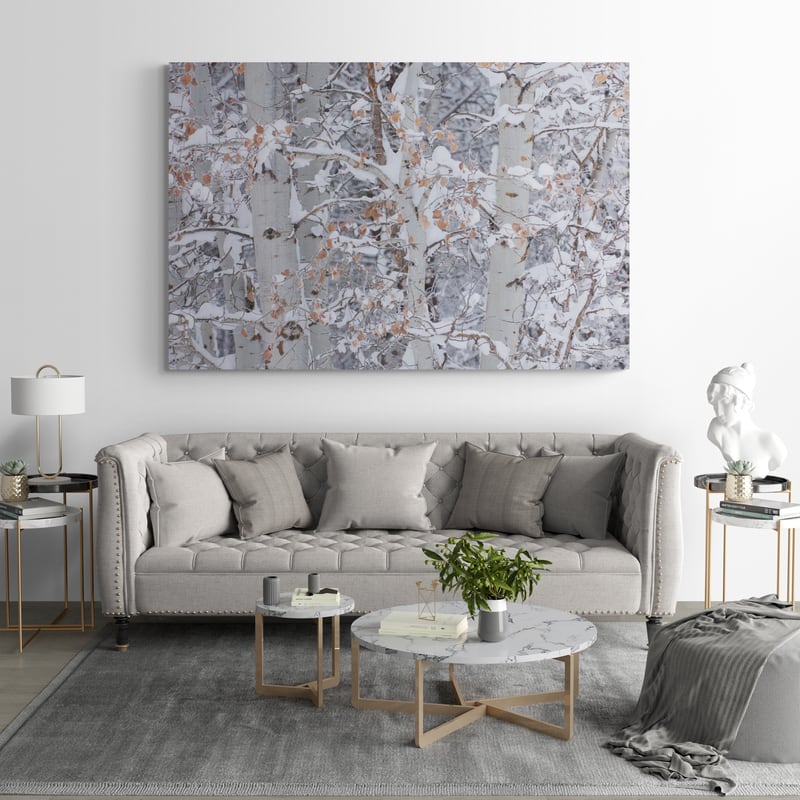 Winter Aspens Closeup by Alan Majchrowicz wall art in a living room
