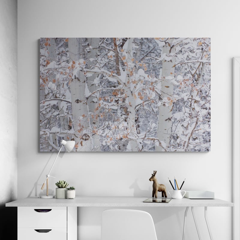 Winter Aspens Closeup by Alan Majchrowicz wall art from Glam Wall Art