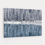 Winter Reflections by Alan Majchrowicz wall art