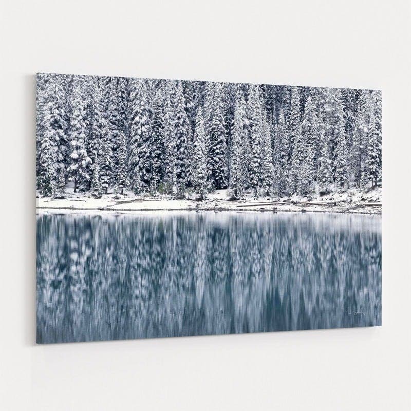 Winter Reflections by Alan Majchrowicz wall art