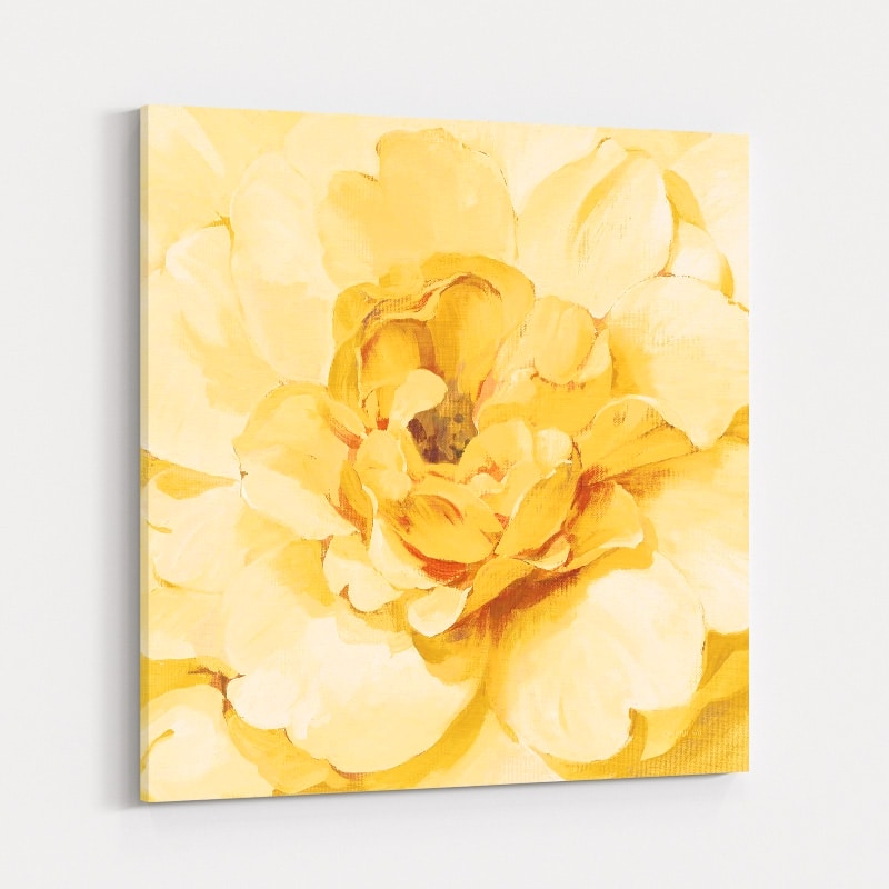 Yellow Peony by Danhui Nai wall art